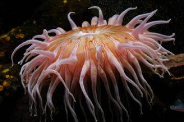 mutationem consuetudium lectorum