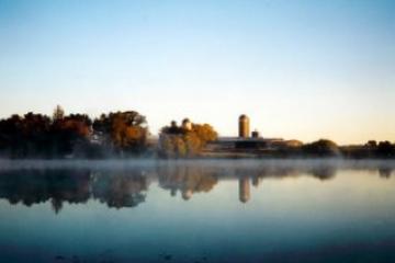 Typi non habent claritatem insitam el eum