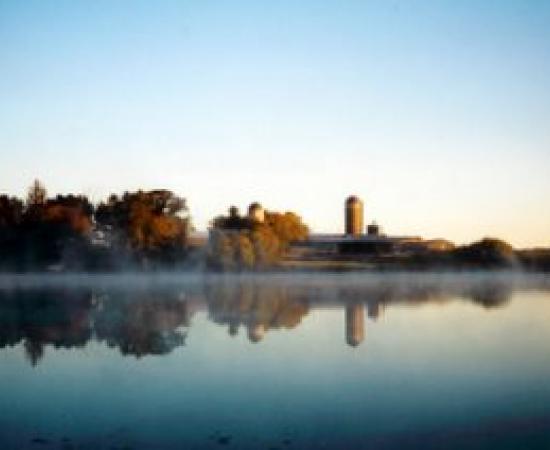 Typi non habent claritatem insitam el eum